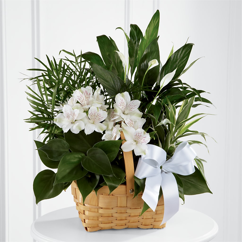 Peace & Serenity Dishgarden – The Flower Chef Llc, Cartersville GA