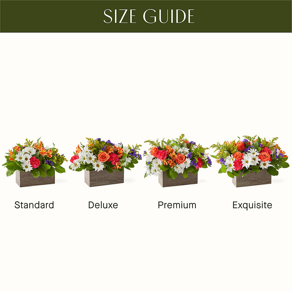 Oopsie Daisy Box Bouquet – The Flower Chef Llc, Cartersville GA