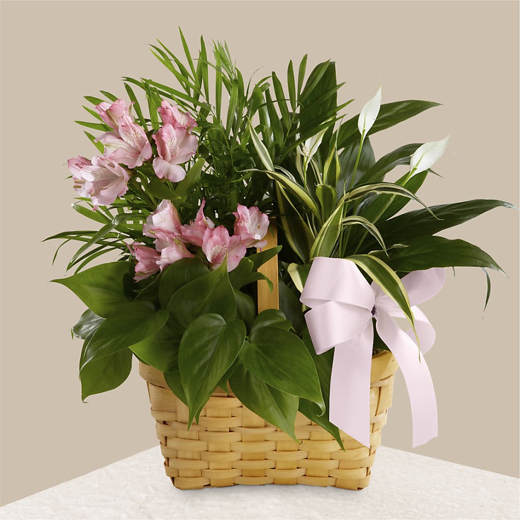 Living Spirit Dishgarden – The Flower Chef Llc, Cartersville GA