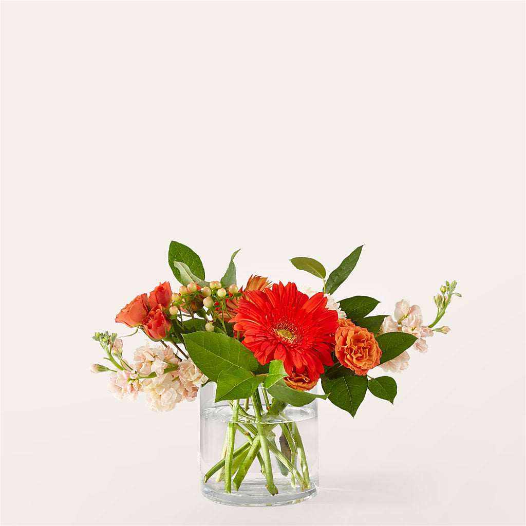 Paloma Please Bouquet – The Flower Chef Llc, Cartersville GA