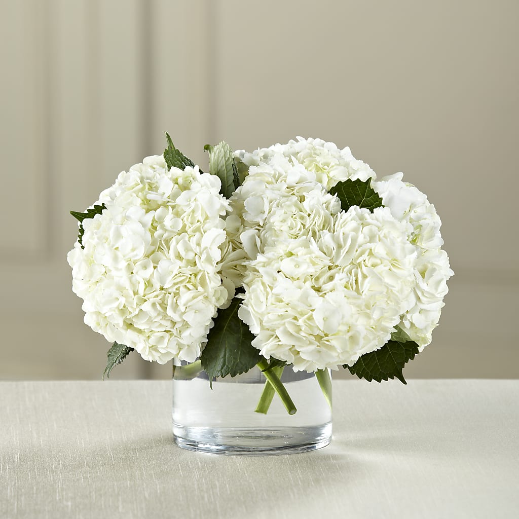 White Hydrangea Bouquet – The Flower Chef Llc, Cartersville GA