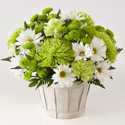 Lucky Charm Basket (Standard) –  The Flower Chef Llc, Cartersville GA