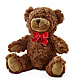Adorable Plush Bear –  The Flower Chef Llc, Cartersville GA