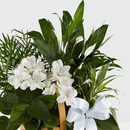 Peace & Serenity Dishgarden –  The Flower Chef Llc, Cartersville GA
