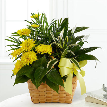 Loving Light Dishgarden –  The Flower Chef Llc, Cartersville GA