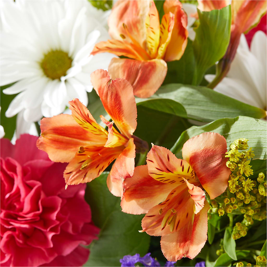 Oopsie Daisy Box Bouquet –  The Flower Chef Llc, Cartersville GA