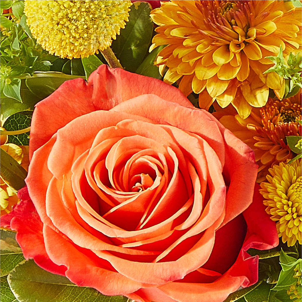 Gourdgeous Pumpkin –  The Flower Chef Llc, Cartersville GA