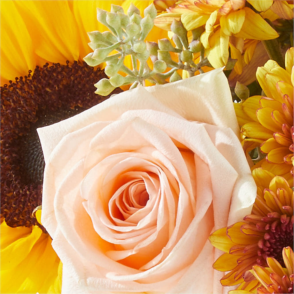 Pumpkin to Talk About Bouquet –  The Flower Chef Llc, Cartersville GA