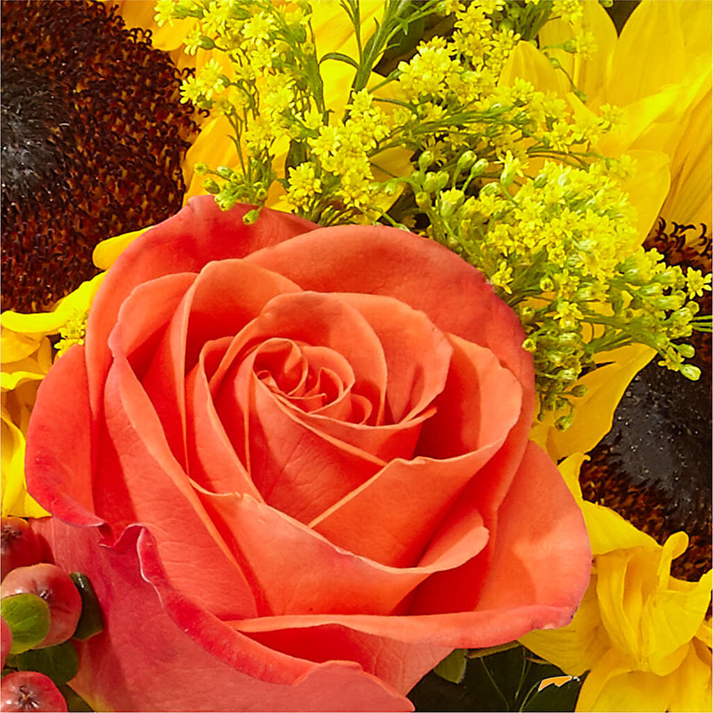 Pick of the Patch Pumpkin Bouquet –  The Flower Chef Llc, Cartersville GA