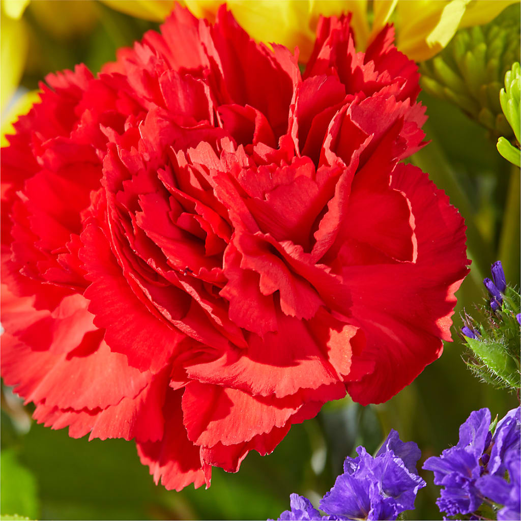 Brighter Days Bouquet –  The Flower Chef Llc, Cartersville GA