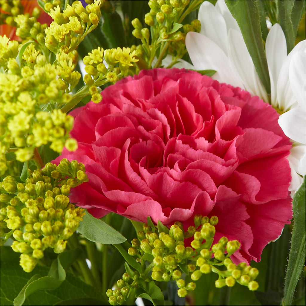 Oopsie Daisy Bouquet –  The Flower Chef Llc, Cartersville GA