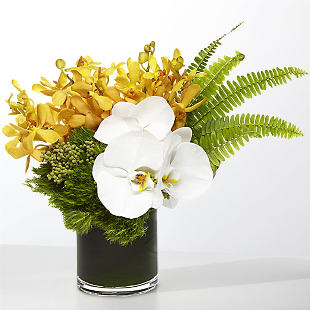 The Tropics –  The Flower Chef Llc, Cartersville GA