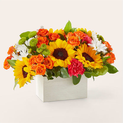 Sun-drenched Blooms Box Bouquet –  The Flower Chef Llc, Cartersville GA