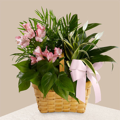 Living Spirit Dishgarden –  The Flower Chef Llc, Cartersville GA