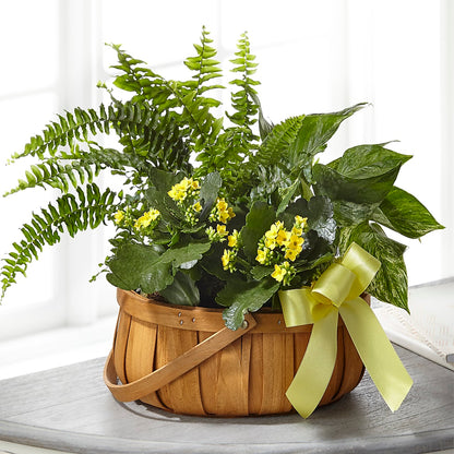 Always Dear Dishgarden –  The Flower Chef Llc, Cartersville GA
