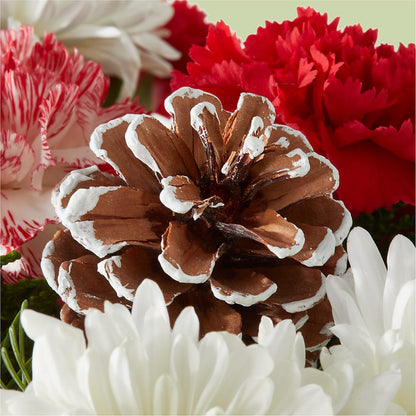 Candy Cane Lane Bouquet –  The Flower Chef Llc, Cartersville GA