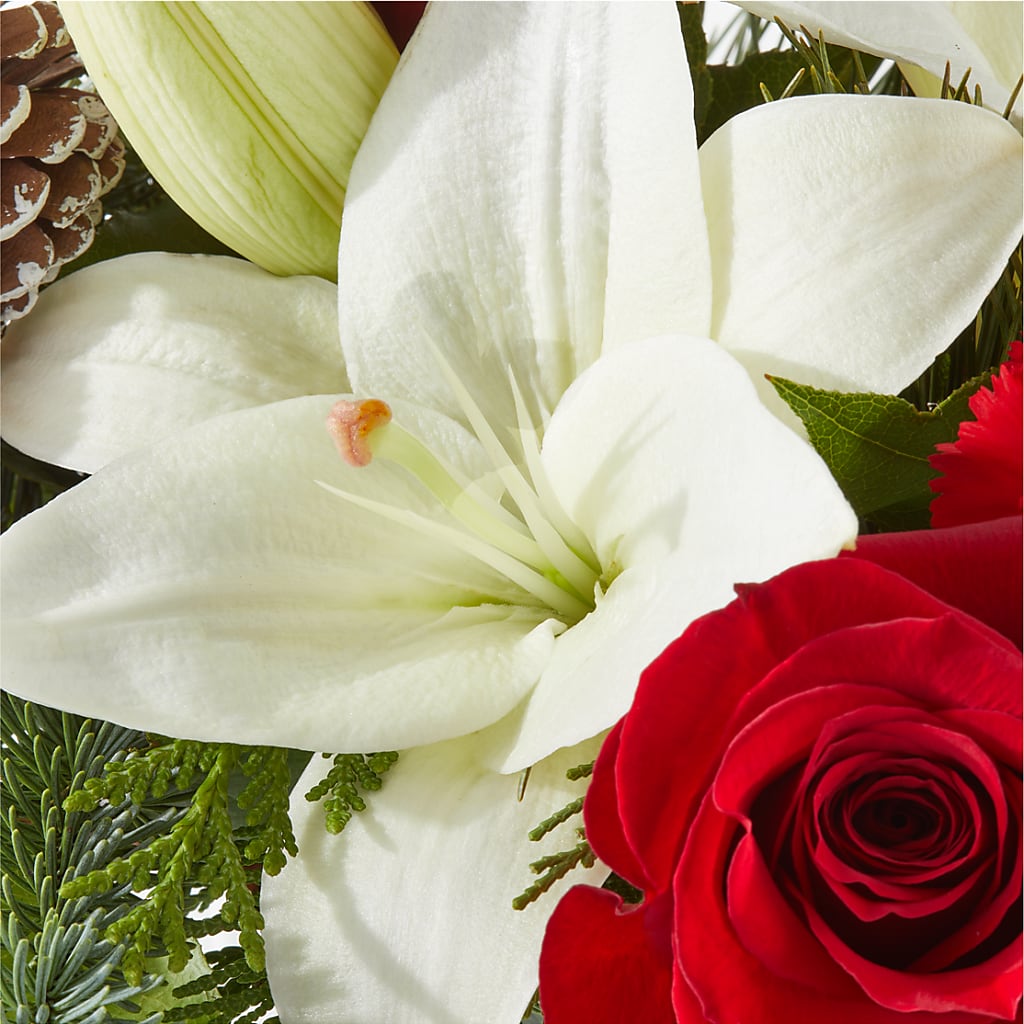 Oh So Jolly Bouquet –  The Flower Chef Llc, Cartersville GA
