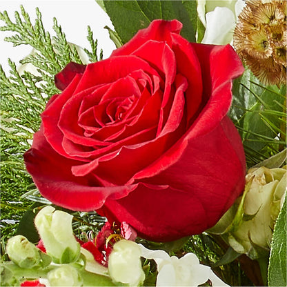 Deck the Halls Bouquet –  The Flower Chef Llc, Cartersville GA