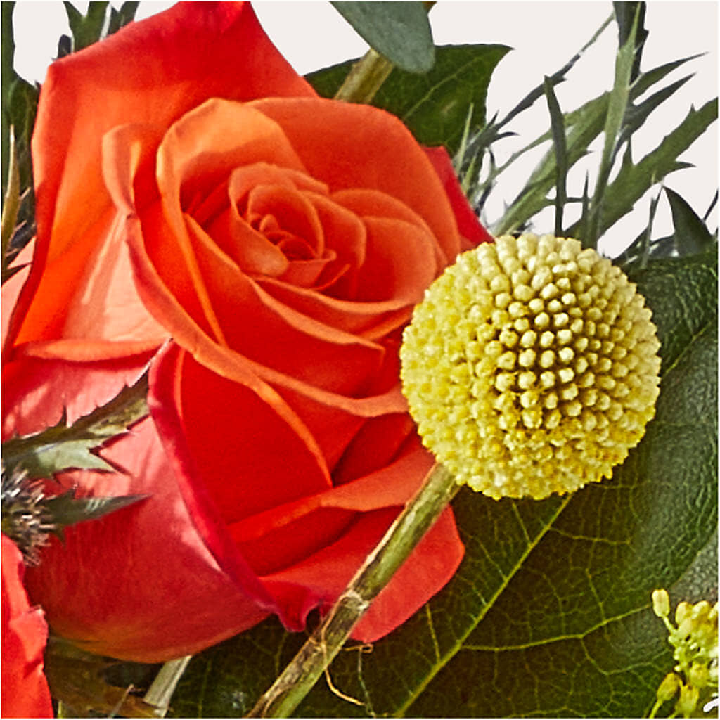Disco Bouquet –  The Flower Chef Llc, Cartersville GA