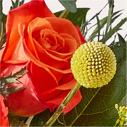 Disco Bouquet –  The Flower Chef Llc, Cartersville GA