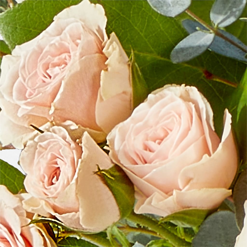 Inspired Bouquet –  The Flower Chef Llc, Cartersville GA