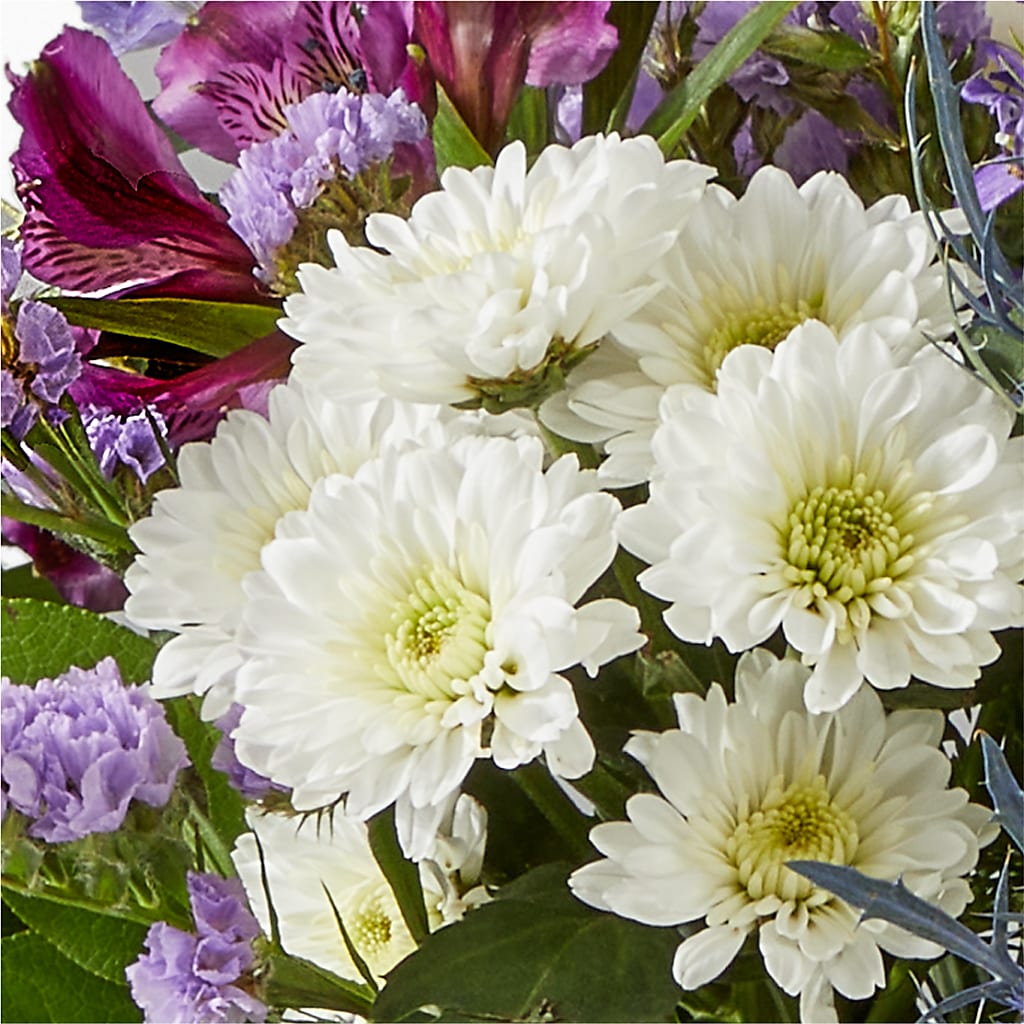 Shooting Star Bouquet –  The Flower Chef Llc, Cartersville GA