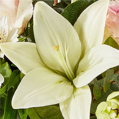Ballet Slippers Bouquet –  The Flower Chef Llc, Cartersville GA