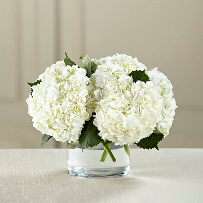 White Hydrangea Bouquet –  The Flower Chef Llc, Cartersville GA